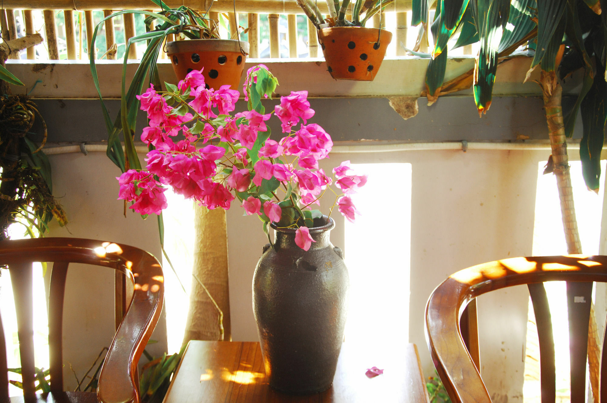 הוי אן Seaside An Bang Homestay מראה חיצוני תמונה